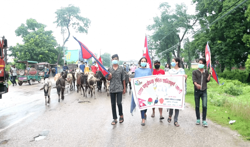 छाडा पुशचौपायासहितको र्‍याली