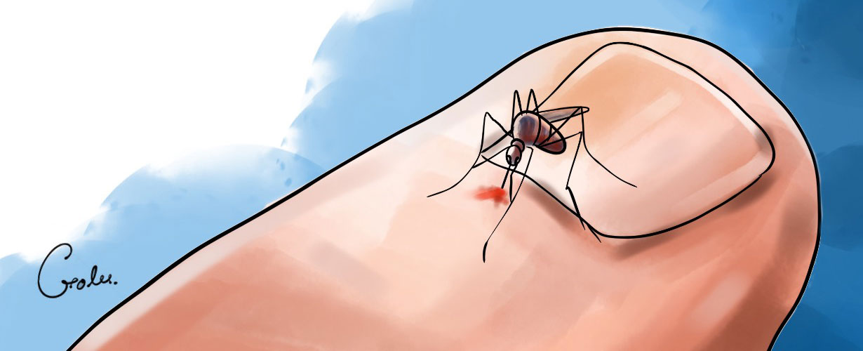 लामखुट्टेले किन कोही मानिसलाई बढी टोक्दछ ? यस्तो छ वैज्ञानिक कारण