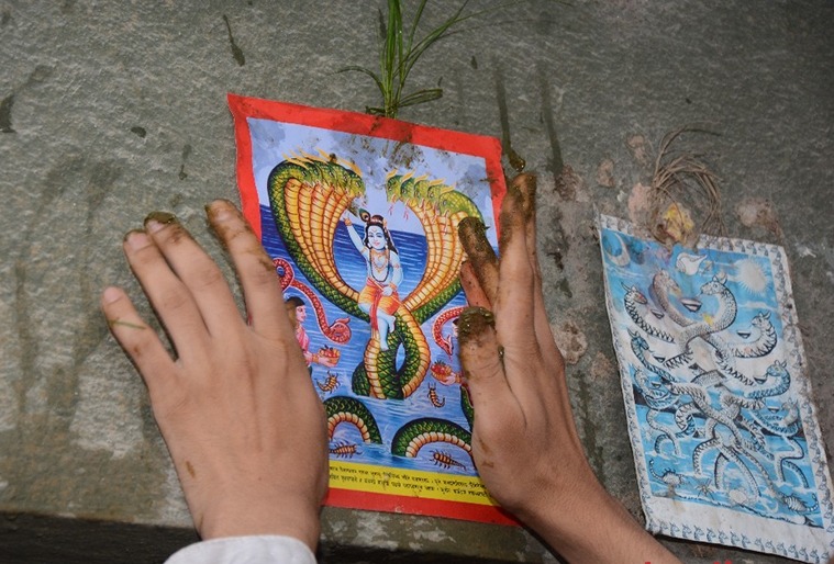 किन टाँसिन्छ घरको ढोकामा नाग वा सर्पको तस्बिर ?