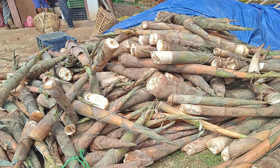 बाँसको तामाले धान्‍दैछ किसानको नुनतेल