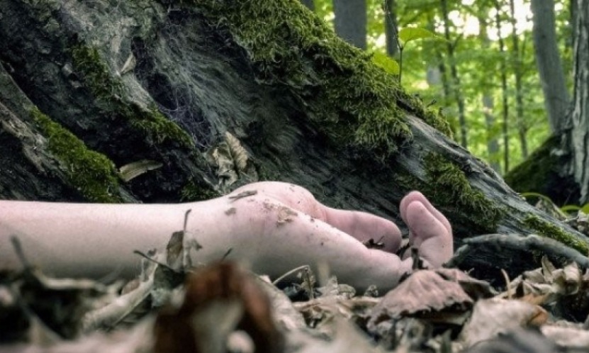 दार्चुलामा भिरबाट लडेर महिलाको मृत्यु