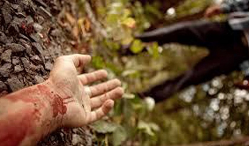 दार्चुलामा भीरबाट लडेर महिलाको मृत्यु