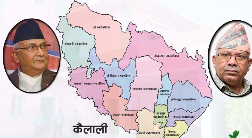 कैलालीका जनप्रतिनिधि कित्ता क्लियर गर्दै, को कता लागे ?