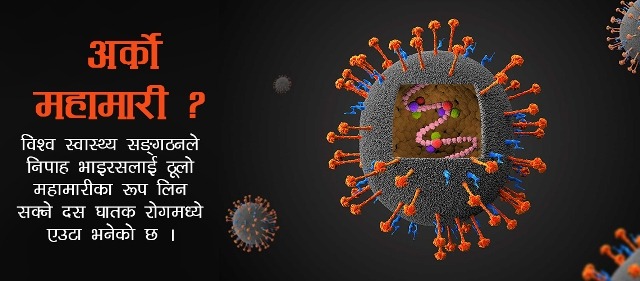 के हो निपाह भाइरस ? कसरी बच्ने ?