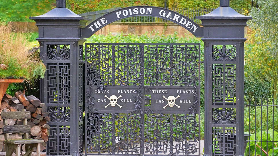 विषालु बगैँचा : जहाँका फूल सुँघ्दा मान्छेको मृत्यु हुन्छ !