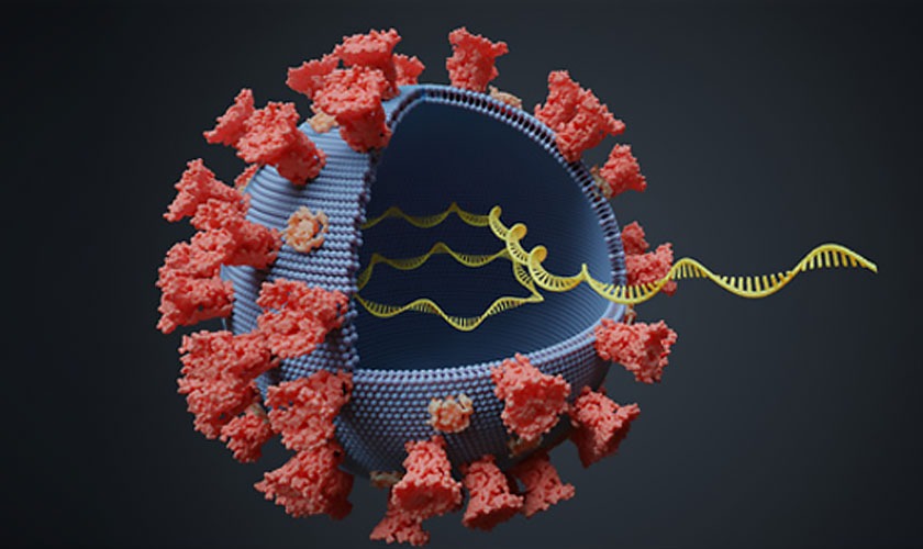 नेपालमा पनि ओमिक्रोन भेरियन्टको सङ्क्रमण पुष्टि