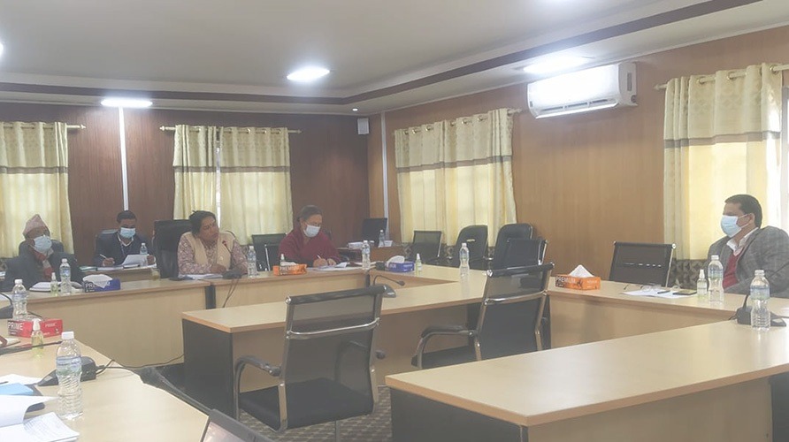 मुक्त हलिया समस्या समाधान अध्ययन कार्यदल गठन