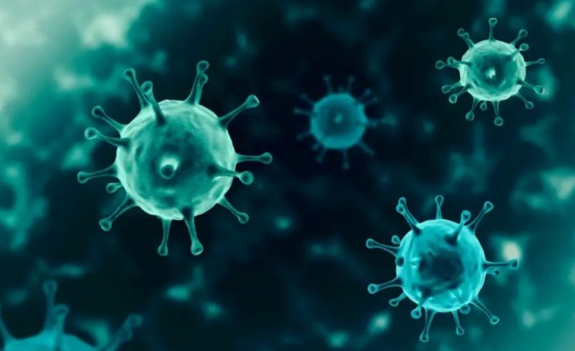 फ्रान्समा भेटियो कोभिड-१९ को नयाँ भेरियन्ट