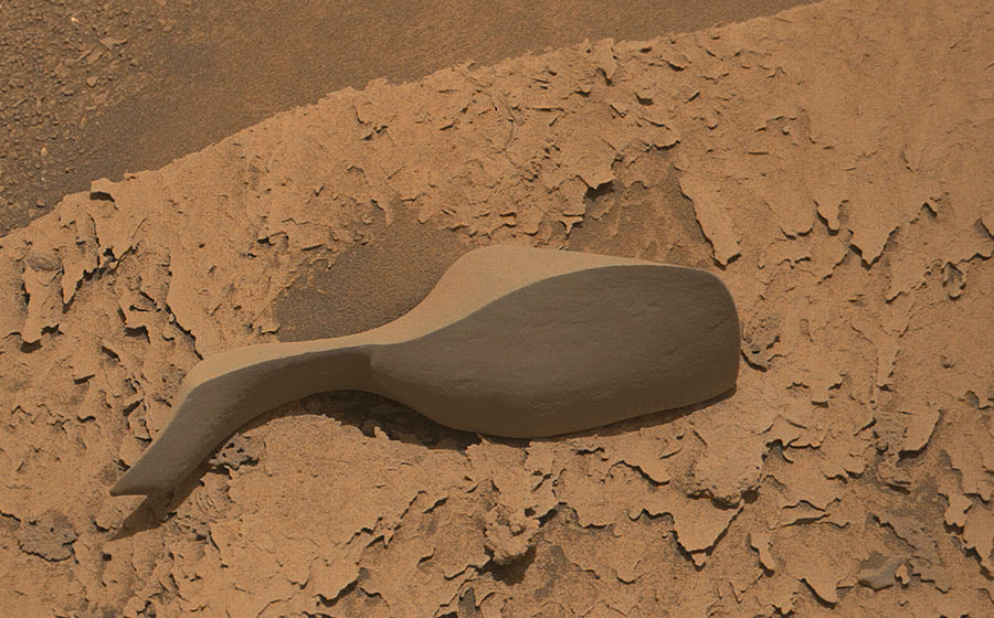 मंगल ग्रहमा शुक्रकिट आकारको ढुंगा !