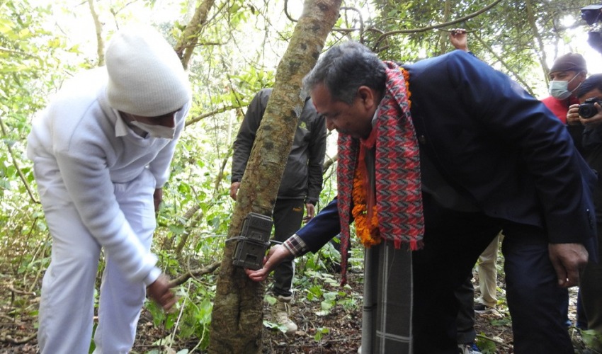 कञ्चनपुरको शुक्लाफाँटाबाट क्यामेरा गायब, बाघ गणनाका लागि जोडिएका थिए