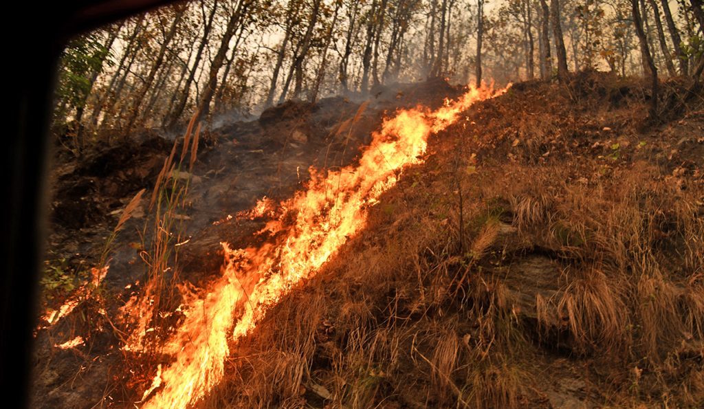 लुक्ला विमानस्थल नजिकको सामुदायिक वनमा डढेलो