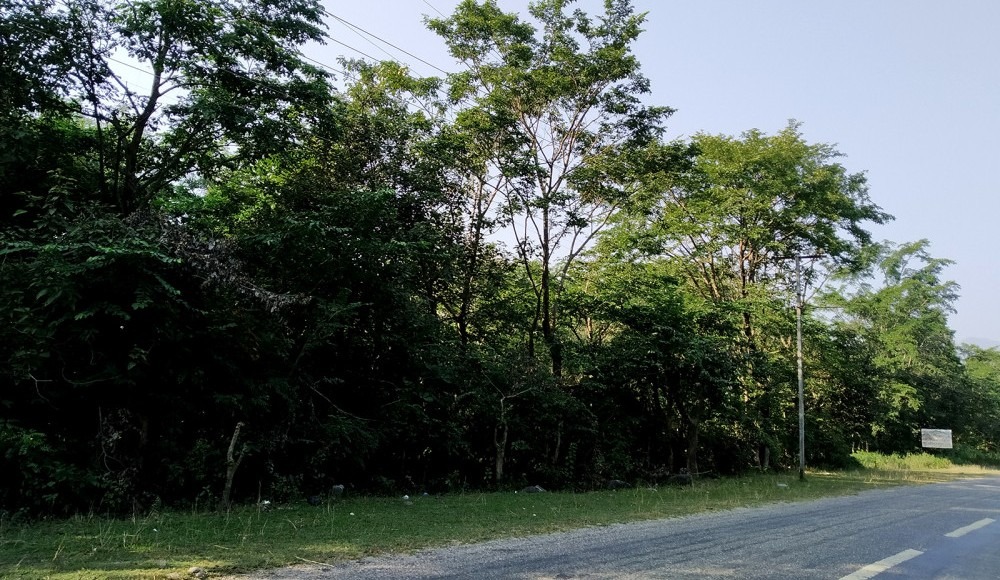 राजधानी बनाउन बेवास्ता