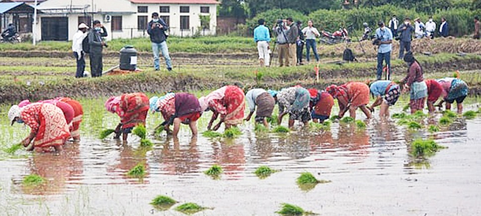 कृषिलाई मागेभन्दा बढी बजेट