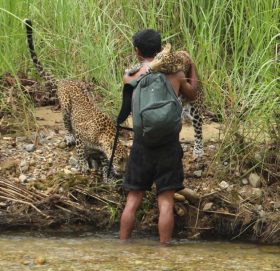 जैविक विविधता झल्काउने उत्कृष्ट तस्बिर