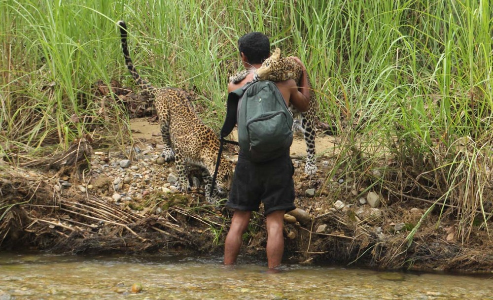जैविक विविधता झल्काउने उत्कृष्ट तस्बिर
