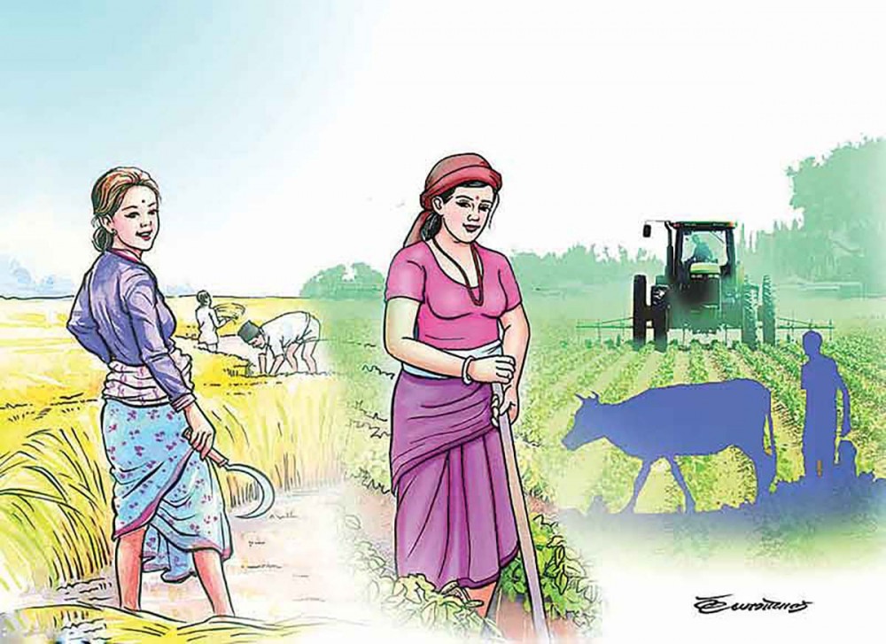 उम्मेदवार घरदैलोमा, किसान खेतमा