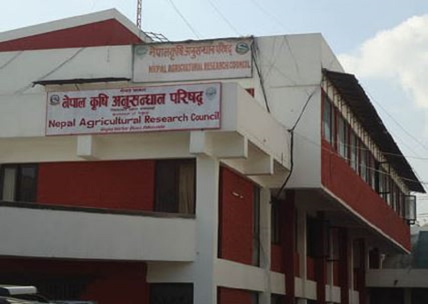 तीनसय बालीका १८ हजारभन्दा बढी जात संरक्षण