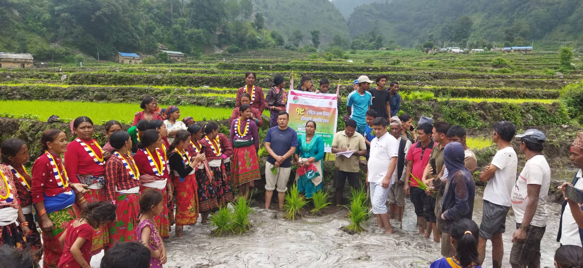 अखिल नेपाल किसान महासंघले मनायो बाजुरामा धान दिवस