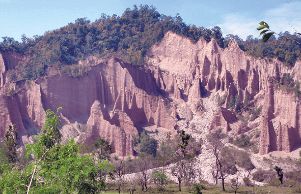 आठौँ चुरे दिवस मनाइँदै