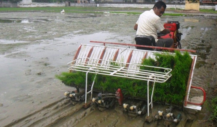 सुदूरपश्चिममा पहिलोपटक भित्र्याइयो चारपांग्रे धान रोप्ने मेसिन