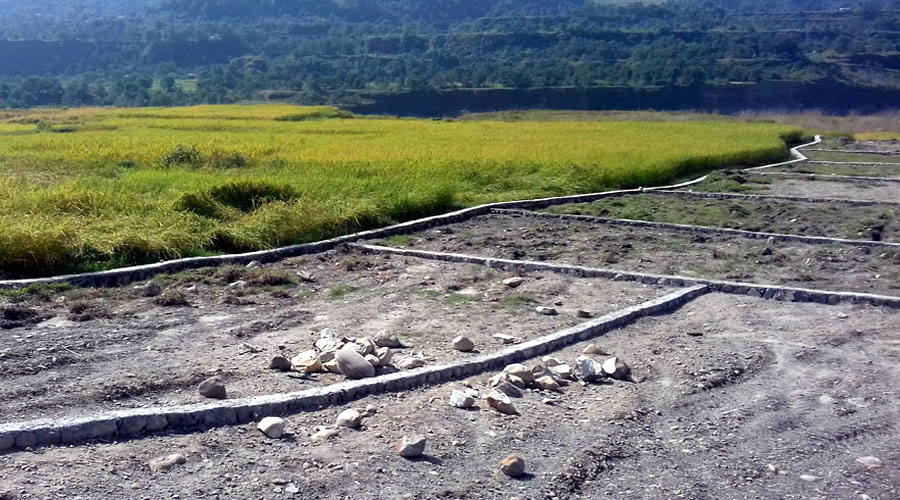 जग्गा धितोमा राखेर ऋण लिन नपाइने