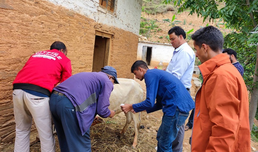 बैतडीमा फैलियो खोरेत रोग