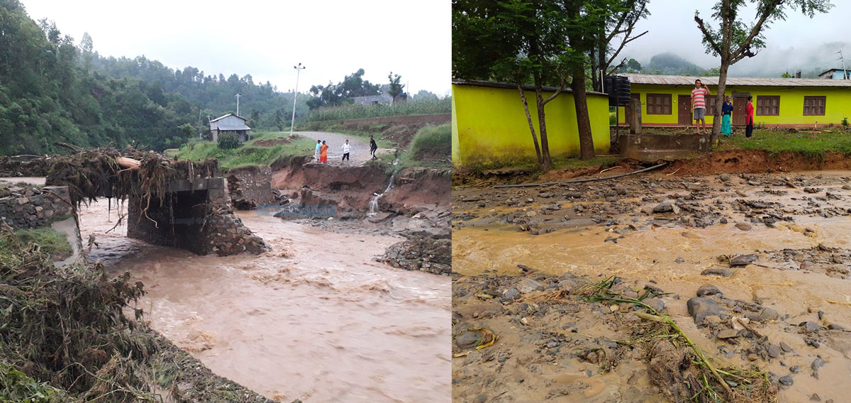 वर्षासँगै बाढी, पहिरो : घरहरु, पुल र हजारौं रोपनी खेत बगायो