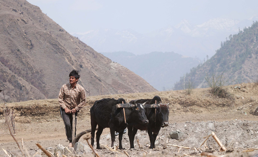 ‘प्रकाश’ का लागि हली भए प्रदीप