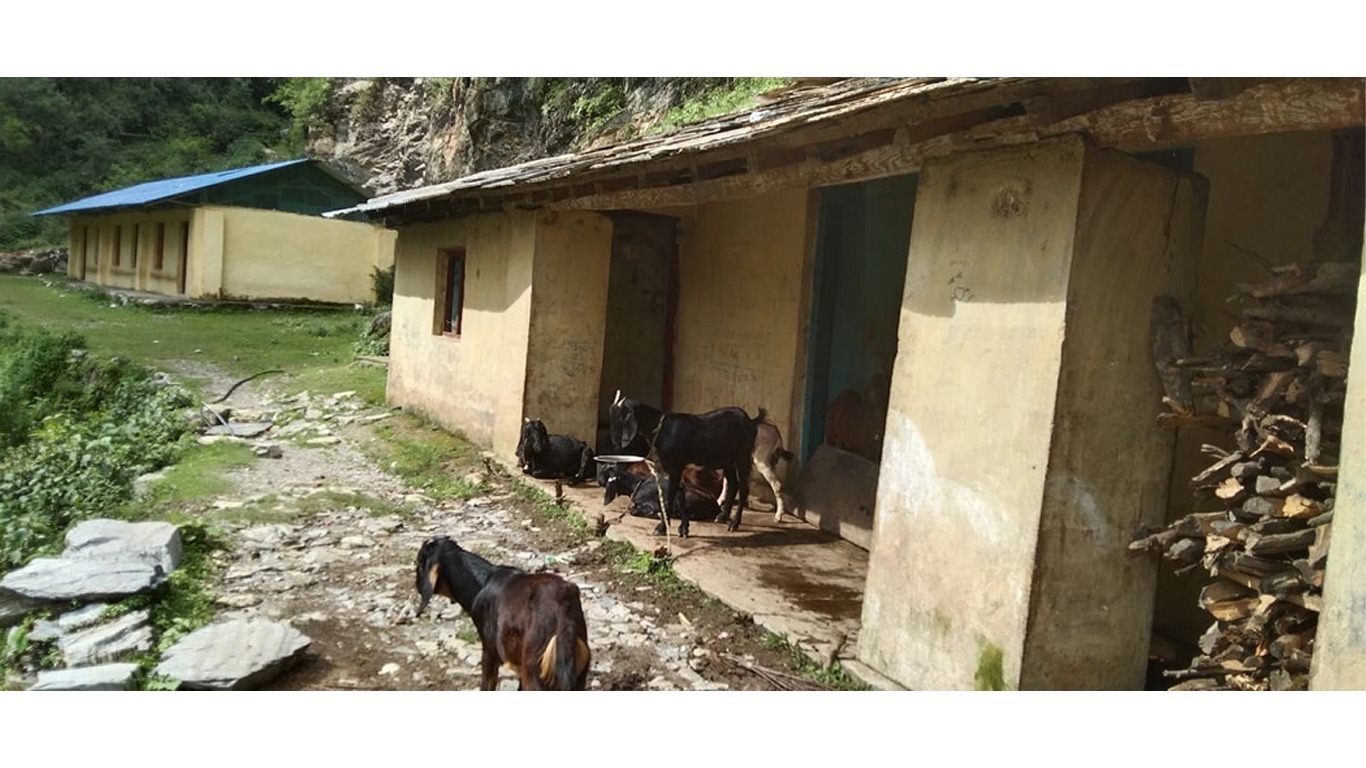 विद्यालयको जमिन व्यक्तिको कब्जामा, क्यान्टिन बाख्राको खोर