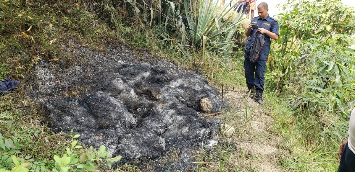 काका पर्नेले बलात्कारपछि आमालाई जिउँदै जलाए, छोराछोरी रूँदै काट्छन् दिन
