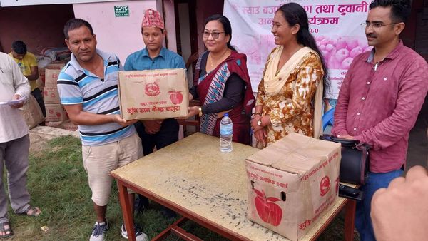 बाजुराको अर्गानिक स्याउ धनगढी पुग्यो