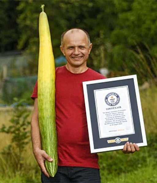 सबैभन्दा लामो काँक्रो फलाएर बेलायती किसानले राखे विश्व कीर्तिमान