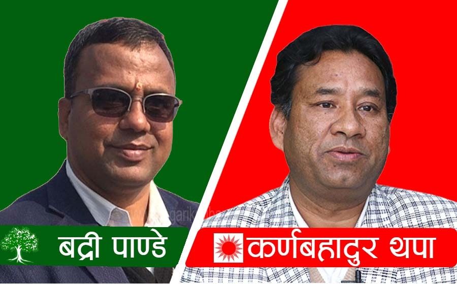 बाजुरा मतगणना अप्डेट: प्रतिनिधि सभाको पछिल्लो मतपरिणाम