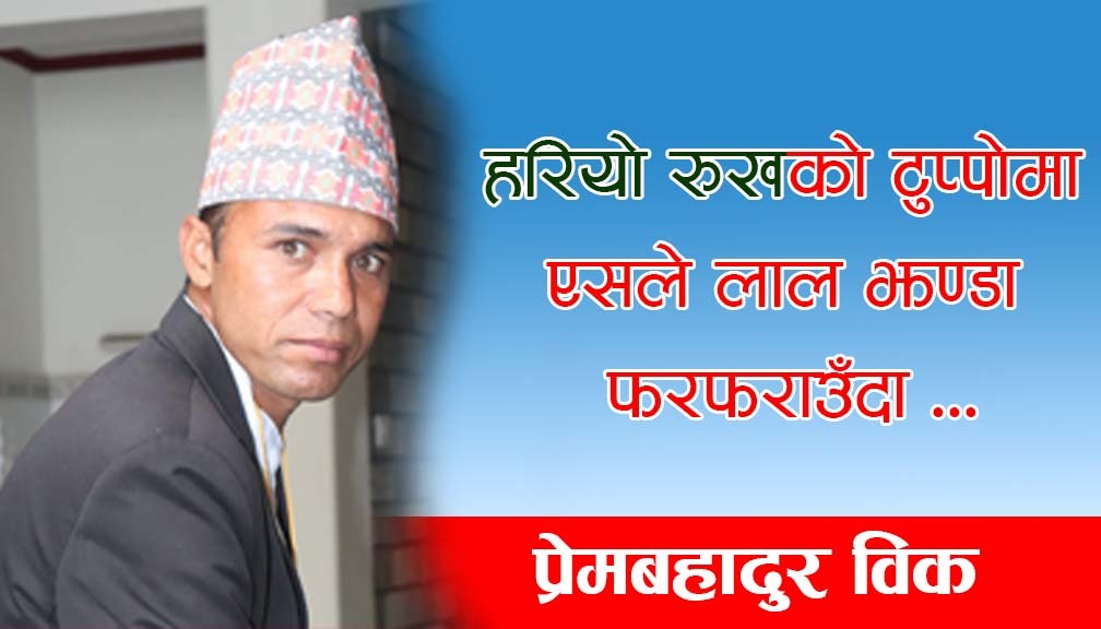 हरियो रूखको टुप्पोमा एसले लाल झण्डा फरफराउँदा…