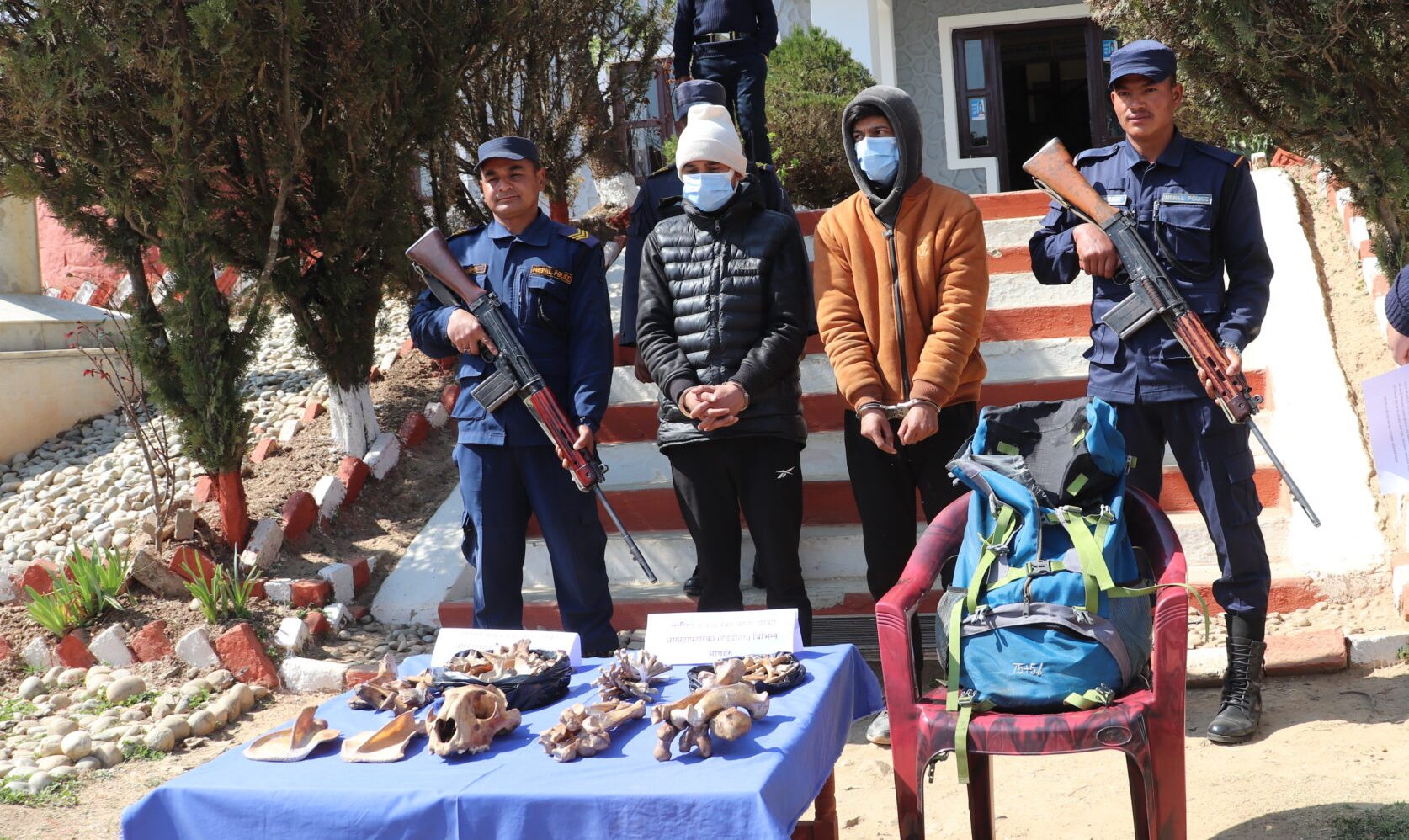 बाघको हड्डीसहित बाजुराका दुई युवक डडेल्धुरामा पक्राउ