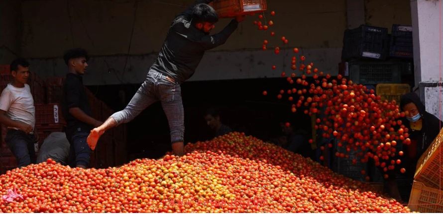 स्वदेशी गोलभेँडा दुई रूपैयाँमा बिकेन, भारतीय गोलभेँडाले पाउँछ ४५ रूपैयाँ