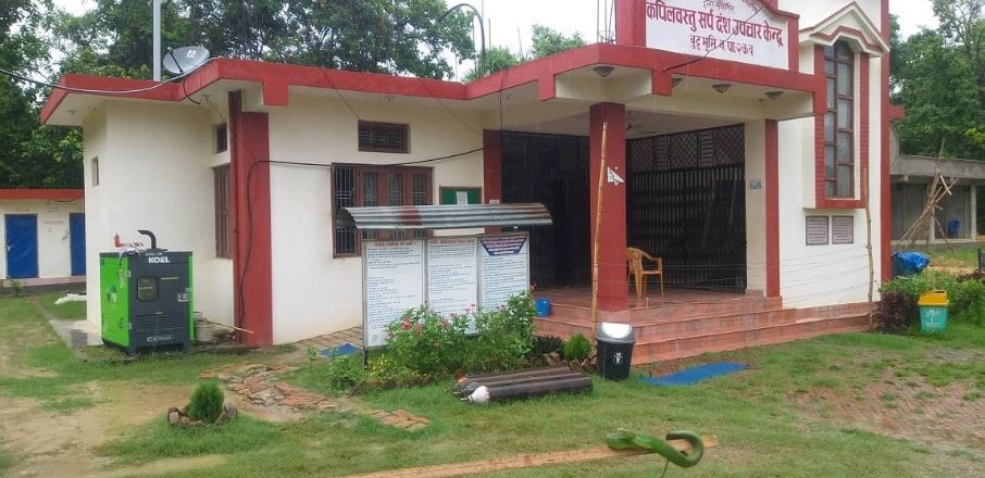 लुम्बिनी प्रदेशमा सर्पको टोकाइबाट ३ सय बढी प्रभावित