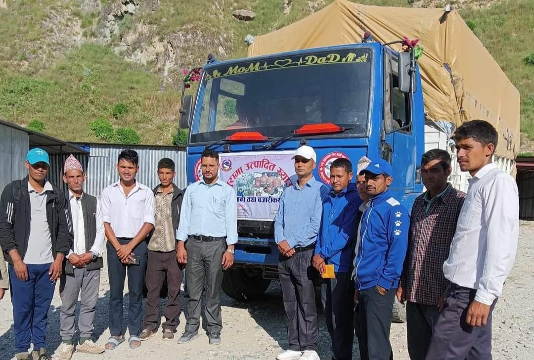 बाजुराका स्याउ किसानको वारि बाटै अनुदानमा ढुवानी