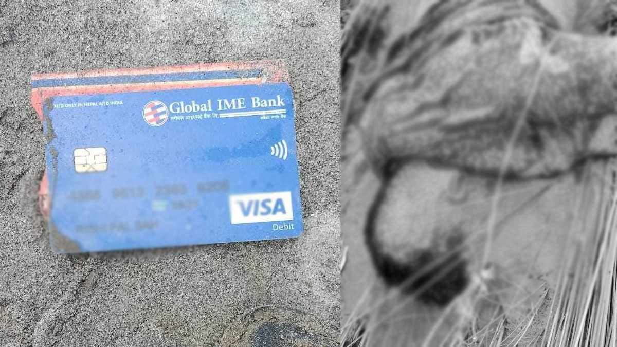 त्रिशूलीमा खसेका एक यात्रुको शव नारायणीमा भेटियो