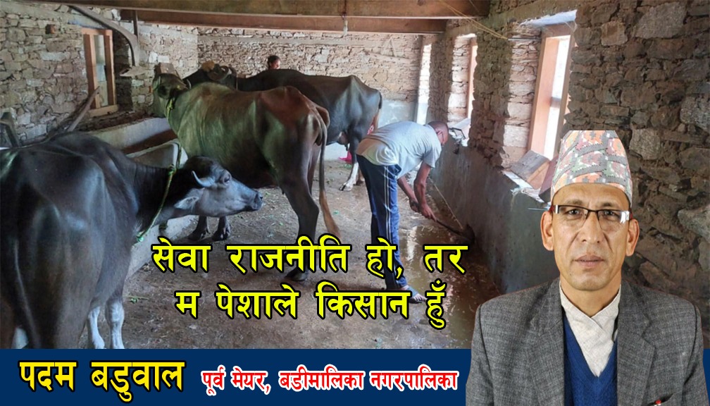 पूर्व मेयर बडुवालको लोभ लाग्दो भैंसी पालन व्यवसाय-आत्मनिर्भरताको उत्कृष्ट उदाहरण